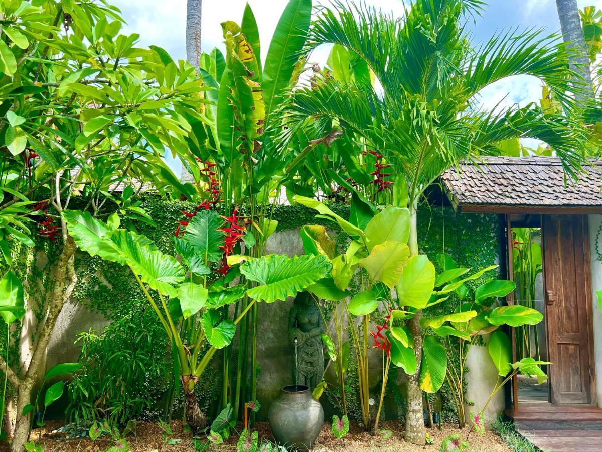 Jati Kuta Lombok Hotell Exteriör bild